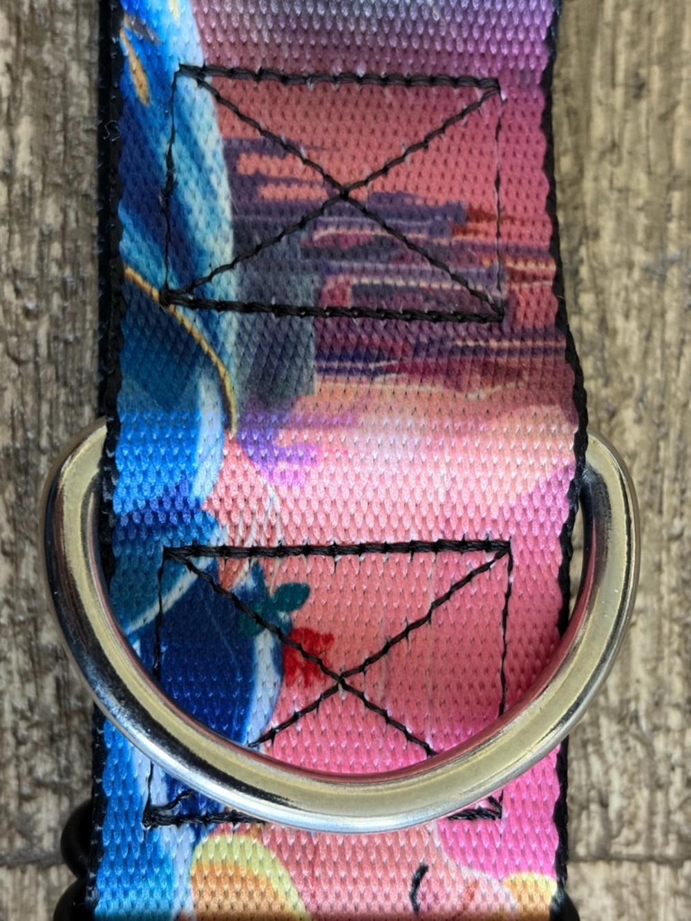 Buckle-Down Disney Villains Dog Collar (Maleficent/Sleeping Beauty) Size: LARGE - Picture 14 of 15